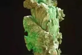 农村老奶奶淘了一颗“白菜”，孙子拿去鉴宝，专家：保守300万图片