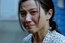 万箭穿心与方方日记图片