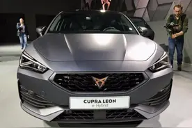 德系又一“瓦罐”车, 一箱油能跑1000公里, 实用堪比SUV, 值得等图片