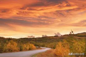 老祖宗留下的四条天规，不可违背，否则后患无穷图片