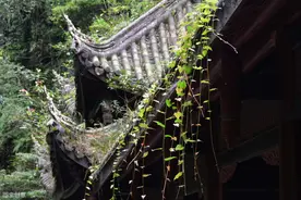 吃得好、住得好就能长寿吗？未必见得！读懂这两句话，或许能明白图片