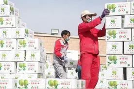 新疆农企复工进行时：“菜篮子”“面袋子”有保障图片