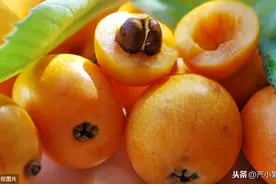 五月枇杷最肥美，教你自制枇杷仙露，让你的夏季告别炎热图片