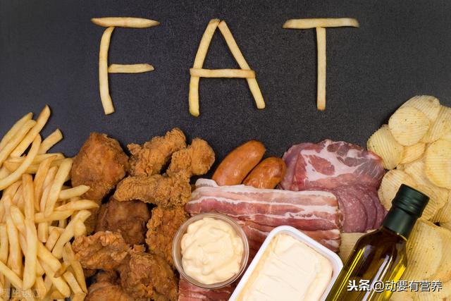 科普文运动与各类营养