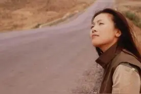 田震消失，是娱乐圈的悲哀图片