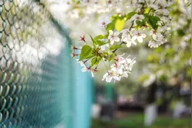 干货丨业余爱好者做公众号如何轻松搞定排版，看这一篇文章就够了图片