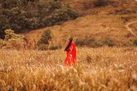 故事：新婚夜夫君盖头都没掀，1月后我甩和离书，他却死活不答应图片