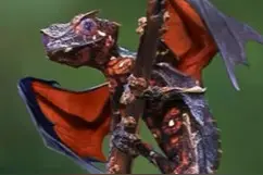 外表可爱却喜食脑，长相怪异被冠以撒旦之名，盘点那些奇特的生物图片