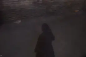 女婿：咱不啃老，可你爸妈却啃咱们帮你弟。女儿：就当孝敬我爸妈图片