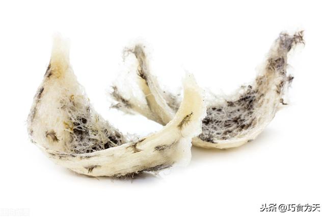 怎样辨别燕窝的好坏 2026年怎样辨别燕窝的好坏图片