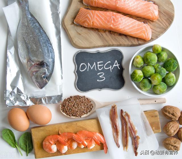 科普文运动与各类营养