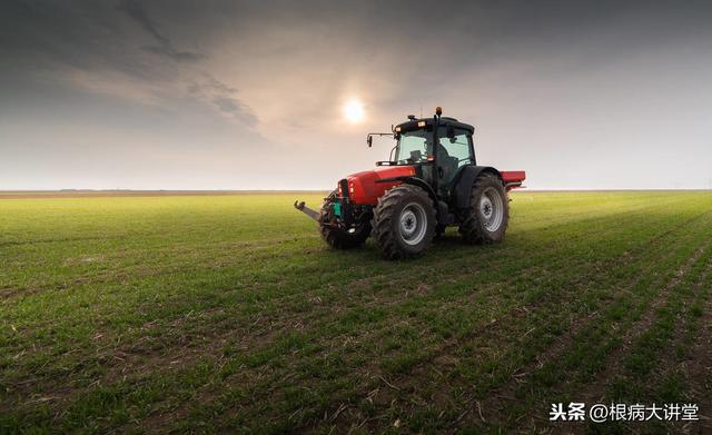 诺基尔：不起眼的氨基酸，原来你这样的了不起