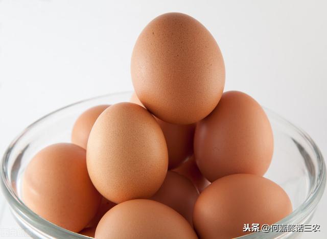 蛋鸡营养需要与饲料配方技巧