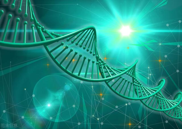 高中生物：必修1-3课本中的重点句合集