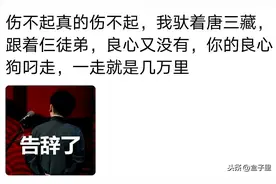 可以无缝衔接的歌词，伤不起真的伤不起，驮着唐三藏跟着仨徒弟图片