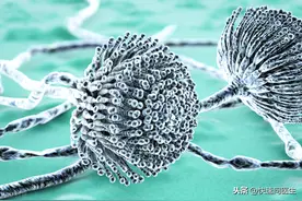 家里最爱长霉菌的3个地方，建议定期清理！赶紧看下自己家图片