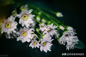 2020年上海市普陀区高考语文二模试卷语文试题及答案图片