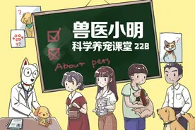 快乐尾巴综合症你听过吗？狗狗过度兴奋时，就会乐极生悲图片