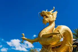 关勃：最大股东是高瓴资本，这家公司成功复制大牛股的商业模式图片