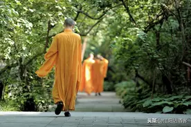 从亲家到冤家，泸州民间流传猫和老鼠结仇的趣闻图片