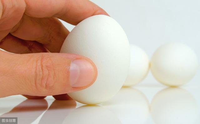 养猪，关于蛋白质的概念你要懂