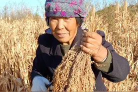 端午节前后，遇到陕西这8大特产美食，一定要多囤点，正宗陕西味图片