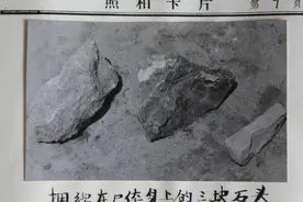 水塘沉尸（2）----连载《正义永不缺席》图片