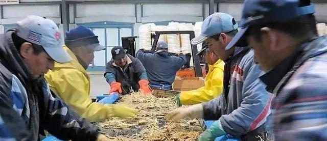 鏋佸湴澶╃劧瑗挎磱鍙傦紝鍛婅瘔浣犱笉鐭ラ亾鐨勫仴搴风瀵? onerror=