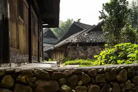 故事：村里傻女手上总有伤，我催眠她找原因，却扯出12年前悬案图片