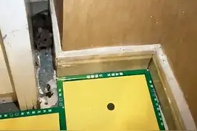 儿子为防老鼠偷跑，竟在墙角铺满了粘鼠板，女子一看却有些心疼了图片