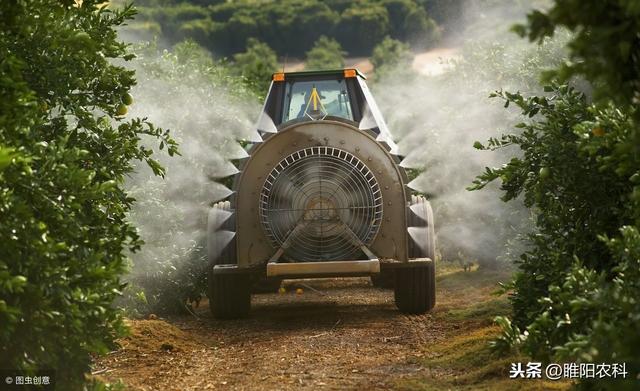 这些药剂是细菌性病害的克星，做好这几点，效果翻倍