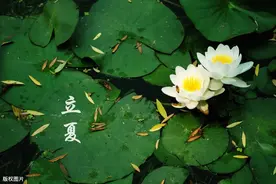“立夏”过后宜养心，收心安神面色润图片