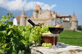 你喝的是酒庄酒、酒商酒还是贴牌酒？5分钟教你鉴别红酒的身世图片