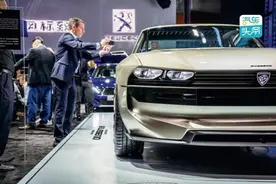 法系车“凉凉”难入川？图片