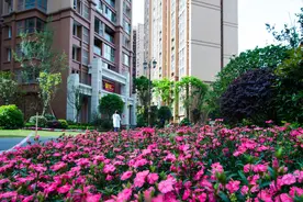 除了1楼和顶楼不能买，2楼也买不得！为什么？图片