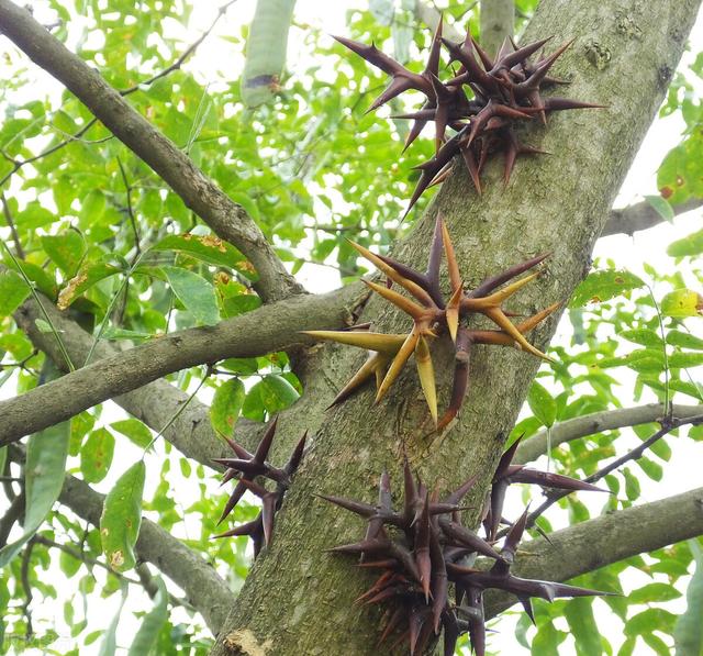 鏋滃彲鍏婚锛屽埡鍙叆鑽紒鐨傝浜т笟绾㈠埄琚潵锛屾繁鍔犲伐钑磋棌鏂拌摑娴? onerror=