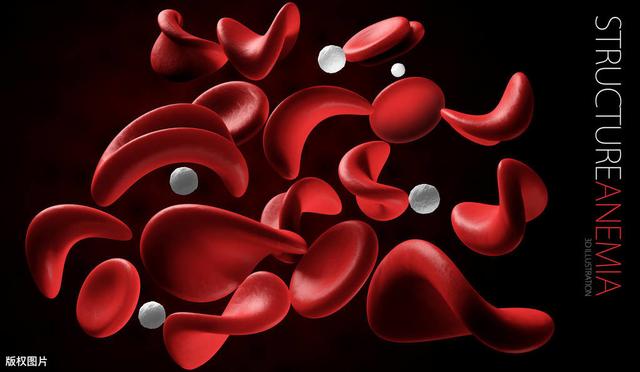 主管药师基础知识-生物化学1-蛋白质的结构与功能