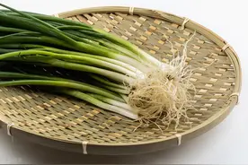 小葱籽怎么种？确保苗期苗壮，农民朋友要做好5步图片