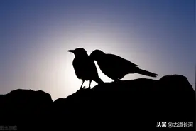 每天多认一个字：骞翮 「qiān hé 」图片