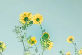 这样回你微信的人，就是敷衍你图片