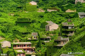 东方小希腊枸杞岛 现在是无人村 废弃的房屋被厚厚的绿植所覆盖图片