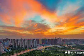 河南省纳税前十强企业名单图片