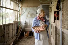 一个70岁奶奶的一生，雷厉风行了一辈子，却造就了晚年不幸图片