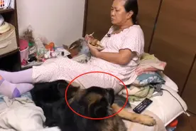 女子偷吃宵夜被狗子发现了，正打算哄它时，却发现已经来不及了图片