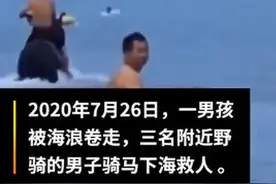 马主人回应下海救人两匹马去世：有点可惜，但不后悔救人图片