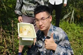 蜜蜂春季管理图片