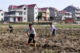 农村承包土地一亩补多少钱？看看政策规定图片