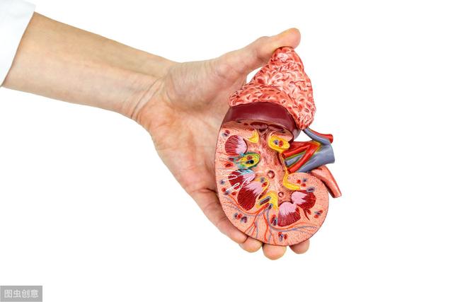 医生：治疗肾衰竭的重要方法---补充必须氨基酸酸