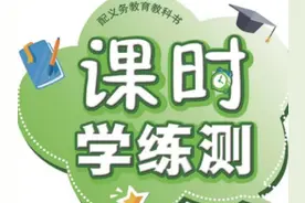最强教辅｜人教版数学六年级《课时学练测》下册图片