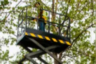 滑移高空作业平台，园林专用升降平台-威威挖树图片